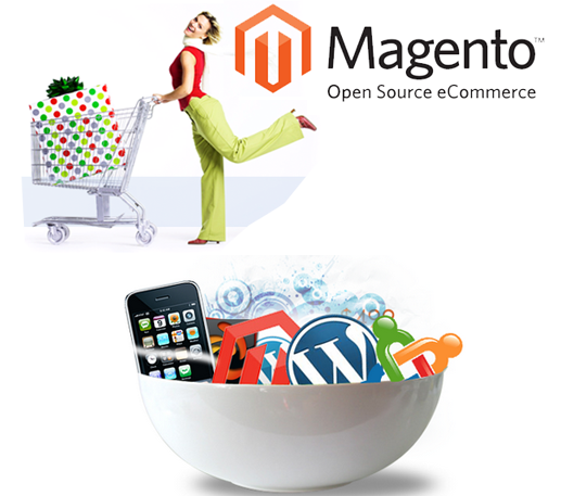 magento development